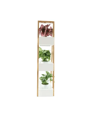 Raft, VEGO, living/dormitor, 30x18.5x81 cm, MDF alb/bambus | MobilaOK