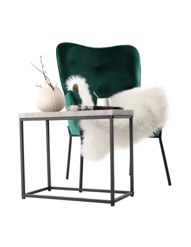 Măsuță de cafea TENDER living 60x30x50 cm Oțel/Lemn | MobilaOK