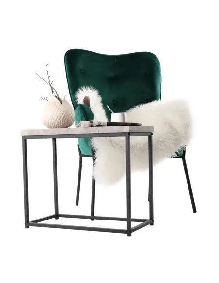Măsuță de cafea TENDER living 60x30x50 cm Oțel/Lemn | MobilaOK