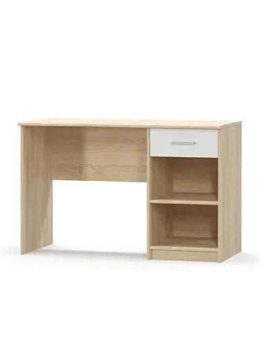 Birou TEYO 1S, birou, 120x54x77 cm, PAL melaminat | MobilaOK
