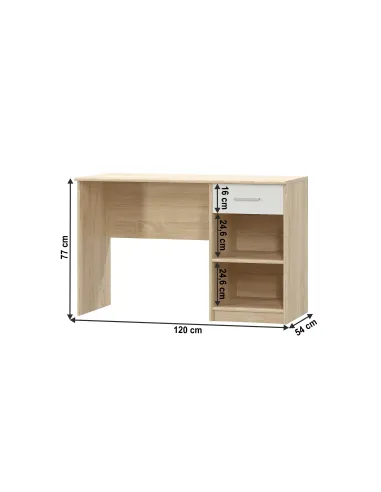 Birou TEYO 1S, birou, 120x54x77 cm, PAL melaminat | MobilaOK
