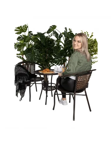 Set Grădină LASAN, terasă, masa Ø60 cm și fotolii 65x62x77 cm, ratan sintetic, oțel, sticlă | MobilaOK