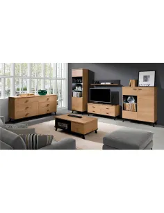Scrin, SIRAN TYP 4, hol/dormitor/birou, 101x40x121 cm, PAL melaminat | MobilaOK 2