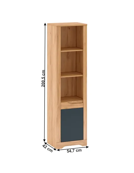 Raft deschis, FIDEL R2, living/dormitor/hol, 54.7x42x200.5 cm, PAL melaminat/MDF folie | MobilaOK