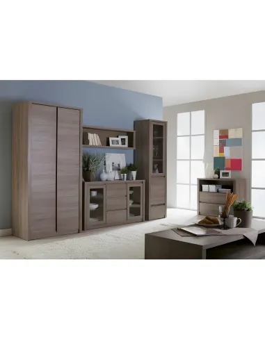 Vitrină MONTANA W1D pentru living/hol, 15 mm, PAL stejar lefkas închis | MobilaOK