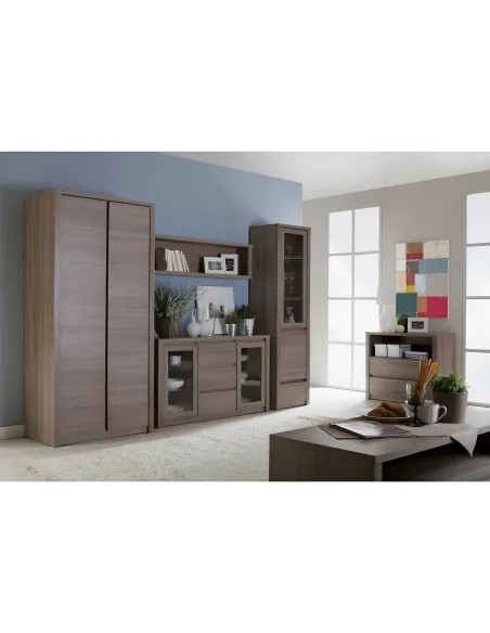 Vitrină MONTANA W2D pentru living/hol, 15 mm grosime, PAL stejar închis | MobilaOK