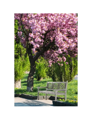 Bancă de grădină FABLA, exterior, 150 cm, Lemn, gri | MobilaOK