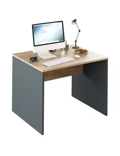 Masă de birou RIOMA NEW TYP 12 pentru birou, 100x80x76 cm, PAL melaminat | MobilaOK