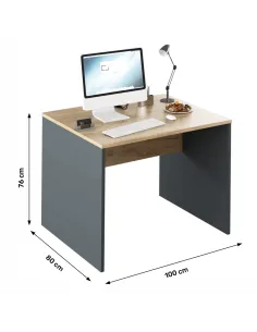 Masă de birou RIOMA NEW TYP 12 pentru birou, 100x80x76 cm, PAL melaminat | MobilaOK 2