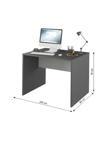 Masă de birou RIOMA NEW TYP 12, birou, 100x80x76 cm, PAL melaminat | MobilaOK