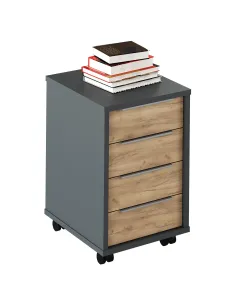 Container, RIOMA NEW TYP 14, living/dormitor, 43x48x66.7 cm, PAL melaminat | MobilaOK