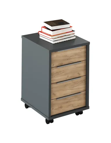 Container, RIOMA NEW TYP 14, living/dormitor, 43x48x66.7 cm, PAL melaminat | MobilaOK