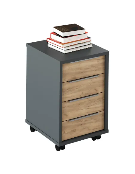 Container, RIOMA NEW TYP 14, living/dormitor, 43x48x66.7 cm, PAL melaminat | MobilaOK
