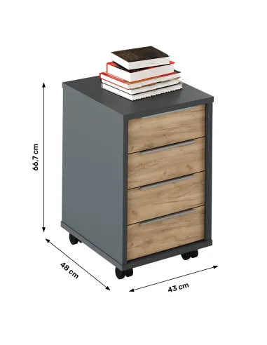 Container, RIOMA NEW TYP 14, living/dormitor, 43x48x66.7 cm, PAL melaminat | MobilaOK