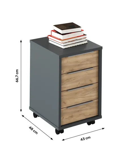 Container, RIOMA NEW TYP 14, living/dormitor, 43x48x66.7 cm, PAL melaminat | MobilaOK