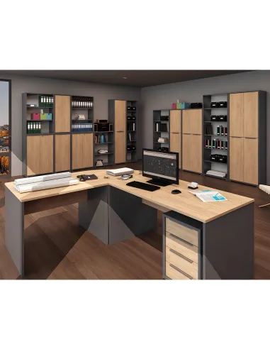 Container, RIOMA NEW TYP 14, living/dormitor, 43x48x66.7 cm, PAL melaminat | MobilaOK