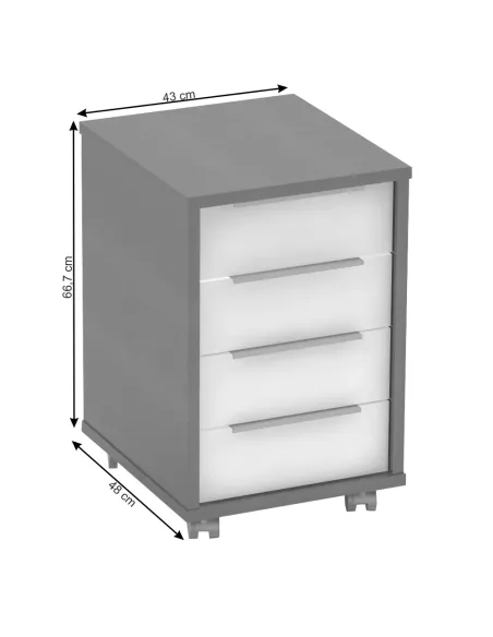 Container, RIOMA NEW TYP 14, living/dormitor/birou, 43x48x66.7 cm, PAL melaminat | MobilaOK