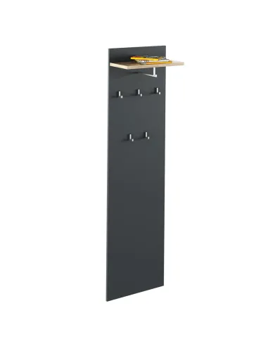 Panou Cuier, RIOMA NEW TYP 19, hol/dormitor, 50x24.6x180.6 cm, PAL melaminat | MobilaOK