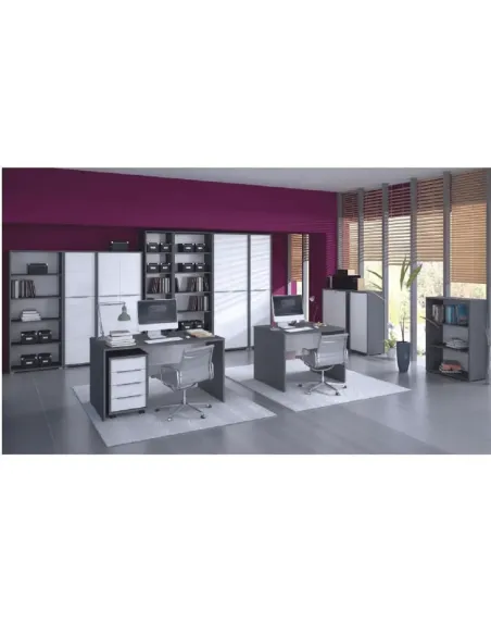 Cuier, grafit / alb, RIOMA NEW TYP 20 | MobilaOK