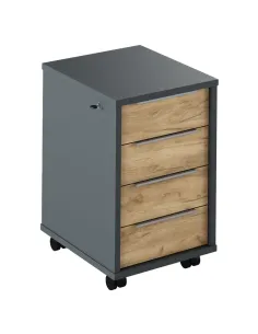 Container, RIOMA NEW TYP 30, birou/living/dormitor, 43x48x66.7 cm, PAL melaminat | MobilaOK