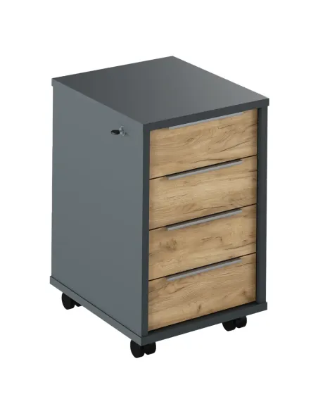 Container, RIOMA NEW TYP 30, birou/living/dormitor, 43x48x66.7 cm, PAL melaminat | MobilaOK