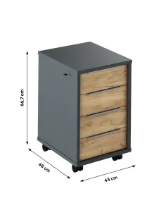 Container, RIOMA NEW TYP 30, birou/living/dormitor, 43x48x66.7 cm, PAL melaminat | MobilaOK 2