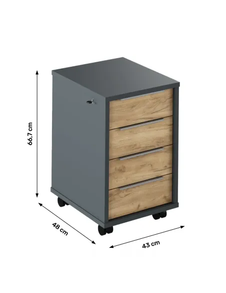 Container, RIOMA NEW TYP 30, birou/living/dormitor, 43x48x66.7 cm, PAL melaminat | MobilaOK