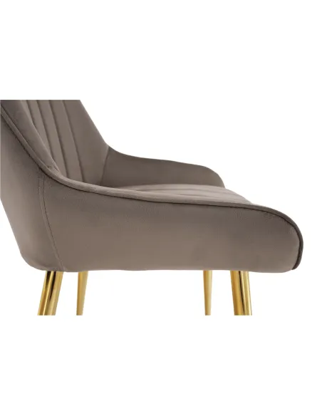Scaun PERLIA, dining, 56x62x89 cm, catifea, metal | MobilaOK