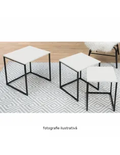 Set Măsuțe Cafea, KASTLER NEW TYP 3, living, 40x42x40 cm, MDF și metal | MobilaOK 2