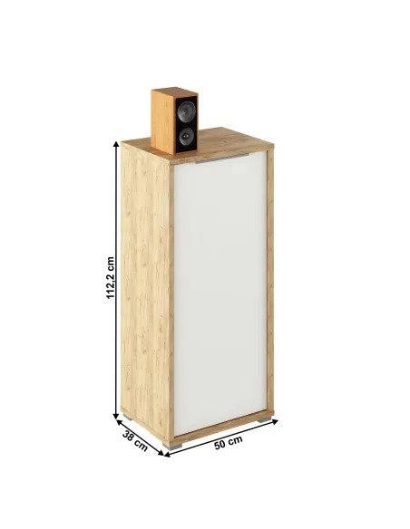 Dulap RIOMA TYP 10, dormitor/hol/birou, 50x38x112.2 cm, PAL melaminat | MobilaOK
