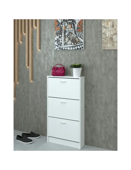 Dulap pantofi, MOBI 13, hol/dormitor, 58x18x107 cm, PAL melaminat | MobilaOK