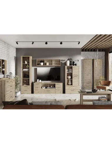 Raft DORSI 1D2S pentru living/dormitor, 55x41x210 cm, PAL melaminat stejar | MobilaOK