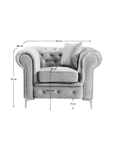 Fotoliu ROMANO living, 113x88x73 cm, stofă Velvet gri deschis | MobilaOK