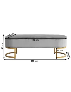 Bancă, MIRILA NEW, hol/dormitor, 100x40x43 cm, catifea/metal crom auriu | MobilaOK 2