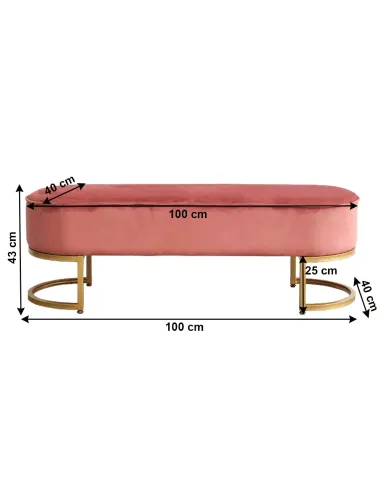 Bancă, MIRILA NEW, hol/dormitor/dressing, 100x40x43 cm, Catifea roz, picioare metal crom auriu | MobilaOK