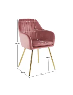 Fotoliu ADLAM NEW, living/dormitor, 57x61x88 cm, Catifea roz/Metal crom-auriu | MobilaOK 2