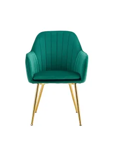Fotoliu ADLAM NEW living 57x61x88 cm, catifea/metal | MobilaOK 2