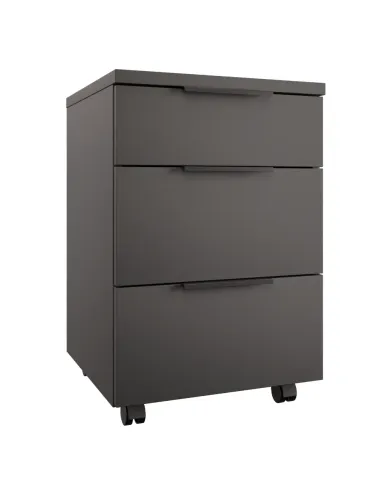 Container, ADAPO ADP06, birou/dormitor/hol, 40x40x60.7 cm, PAL melaminat | MobilaOK