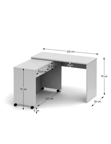Masă PC VERSAL NEW, birou, 120x75x50 cm, PAL melaminat | MobilaOK