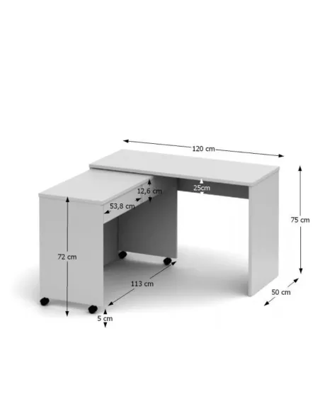 Masă PC VERSAL NEW, birou, 120x75x50 cm, PAL melaminat | MobilaOK