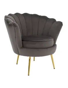 Fotoliu NOBLEO living, 76x68x77 cm, Velvet gri-maro/gold crom | MobilaOK