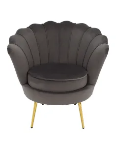Fotoliu NOBLEO living, 76x68x77 cm, Velvet gri-maro/gold crom | MobilaOK 2