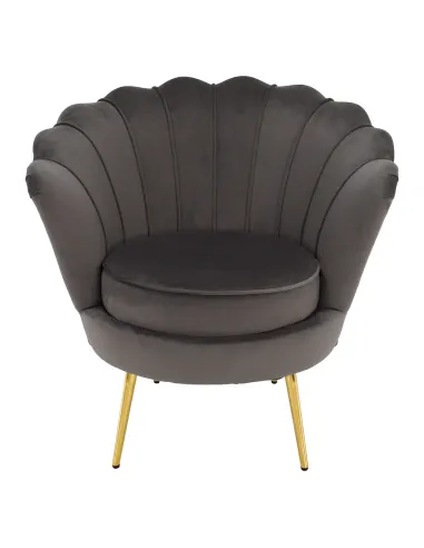 Fotoliu NOBLEO living, 76x68x77 cm, Velvet gri-maro/gold crom | MobilaOK