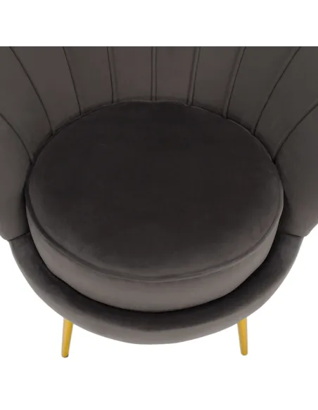 Fotoliu NOBLEO living, 76x68x77 cm, Velvet gri-maro/gold crom | MobilaOK