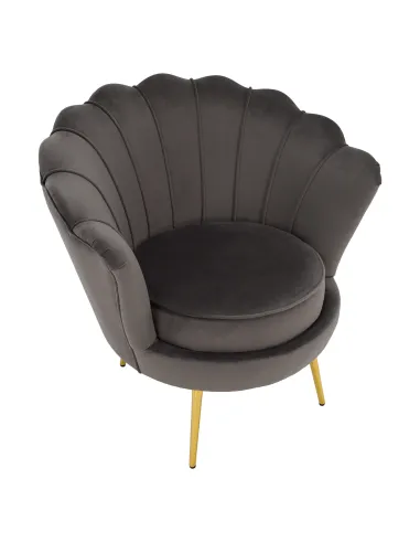 Fotoliu NOBLEO living, 76x68x77 cm, Velvet gri-maro/gold crom | MobilaOK