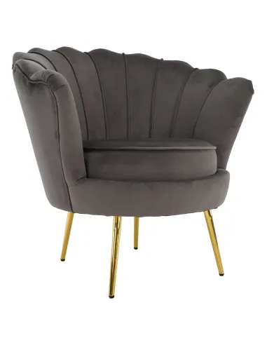 Fotoliu NOBLEO living, 76x68x77 cm, Velvet gri-maro/gold crom | MobilaOK