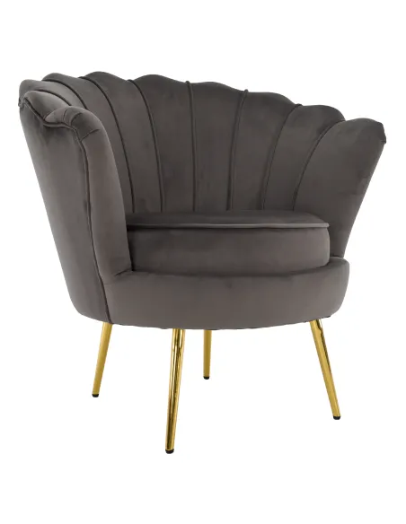 Fotoliu NOBLEO living, 76x68x77 cm, Velvet gri-maro/gold crom | MobilaOK