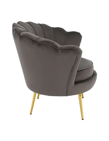 Fotoliu NOBLEO living, 76x68x77 cm, Velvet gri-maro/gold crom | MobilaOK