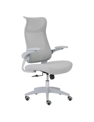 Scaun de birou, SETON, birou, 64x60x107-117 cm, plasă și plastic | MobilaOK
